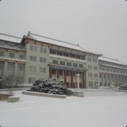 嘛意思，弟弟
