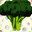 TheGreenVegetable TTV