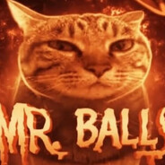 Mr Balls