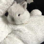 𝗶𝗡𝗻𝗔𝟮𝗱