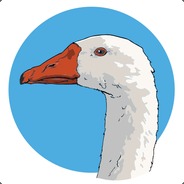 [ANR] Finnish goose