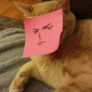 a cat, but its a jojo