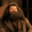 ElPelucaHagrid