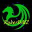 RykerDMZ