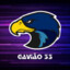 GAVIAO33