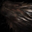 Balerion, the Black Dread