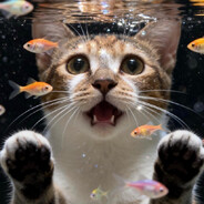 平等肘击所有人