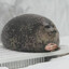 PvtFatSeal