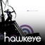 The_Hawkeye_Universe