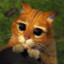 Tom