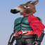 KAMEN RIDER BURRO