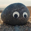 rocky