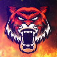-_ANGRYTIGER_-