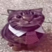 +m