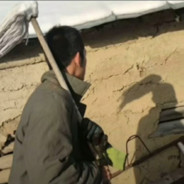 碧水乡田为稻香