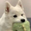 Plue