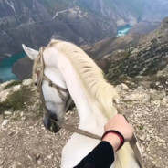 这一枪叫做晚安