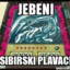 Sibirski Plavac