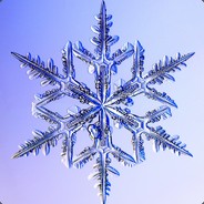 *Winter_Frost*