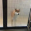 吃仙贝的憨憨猴