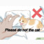 please do not the cat