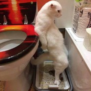 我们这类人   小龙