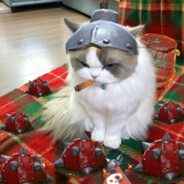 Дальше бога нет