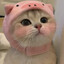 ЯКотикТыКотик