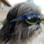 ItsMustachio