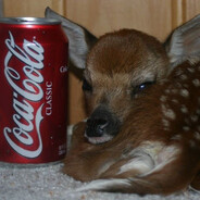 урла ☆.。.:*・°☆°