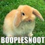 BOOPLESNOOT