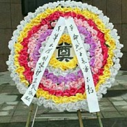 胖次酱的纱雾真香