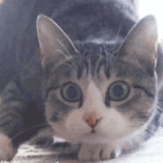 是否梦想无尽头