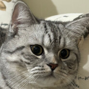 qwanjua;; - steam id 76561198131178631