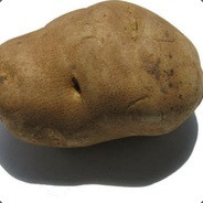 Parandrus