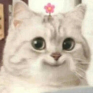 ℭ𝔲𝔱𝔢 ℭ𝔞𝔱