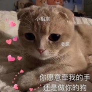 淫趴就超壮壮妈