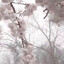 yoki春's avatar