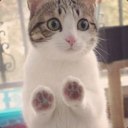 赴汤蹈火啊琛哥