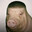 pig with a low taper fade