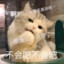 寒拾Ciao