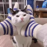 电击枪（StatTrak™）杀敌