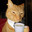 gato_gordo18