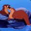 OtterinWater