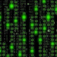 SwaggaBackInTheBuilding