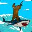 Bear With Gun On Shark