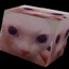 TTV_Bingus