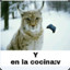 Lince_:vays