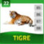 Tigre