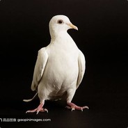 是日也_天朗气清